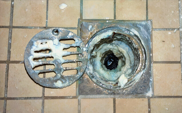 https://blockeddrainsnorthperth.com.au/uploads/2025/07/blocked-shower-drains-33151.jpg