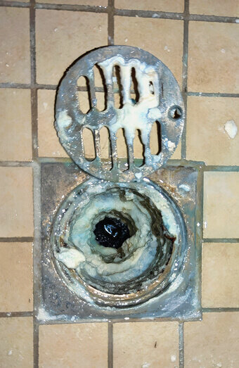 https://blockeddrainsnorthperth.com.au/uploads/2025/07/blocked-shower-drains-86331.jpg
