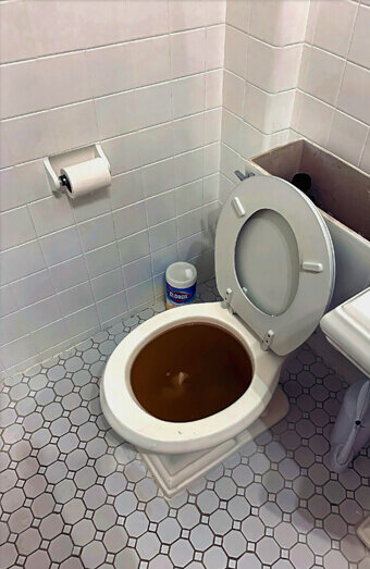 https://blockeddrainsnorthperth.com.au/uploads/2025/07/blocked-toilet-42230.jpg